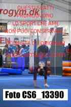 CS6_13390-