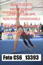 CS6_13393-