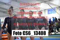 CS6_13408-
