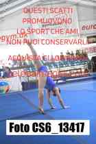 CS6_13417-