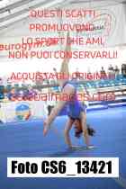 CS6_13421-