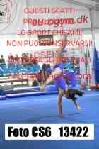 CS6_13422-