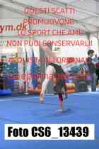 CS6_13439-