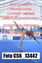 CS6_13442-