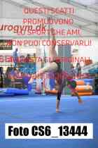 CS6_13444-