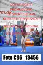 CS6_13456-