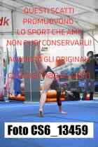 CS6_13459-