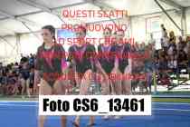 CS6_13461-