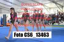 CS6_13463-