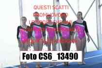 CS6_13490-