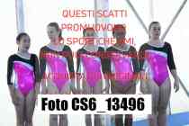CS6_13496-
