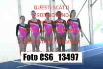 CS6_13497-