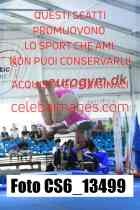 CS6_13499-