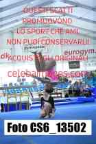 CS6_13502-