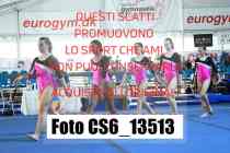 CS6_13513-