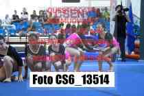 CS6_13514-