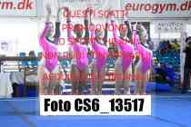 CS6_13517-