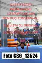 CS6_13524-