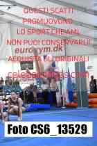 CS6_13529-