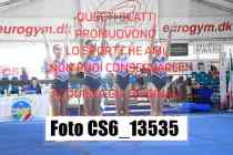 CS6_13535-