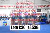 CS6_13536-