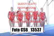 CS6_13537-