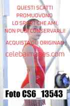 CS6_13543-