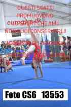 CS6_13553-