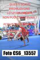 CS6_13557-