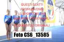 CS6_13585-