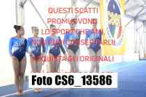 CS6_13586-