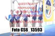 CS6_13593-