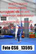 CS6_13595-