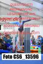 CS6_13596-