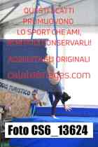 CS6_13624-