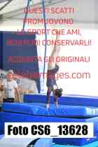 CS6_13628-