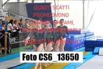 CS6_13650-