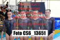 CS6_13651-