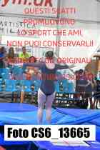 CS6_13665-