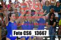 CS6_13667-