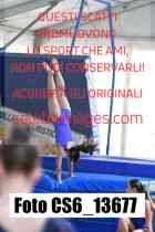 CS6_13677-