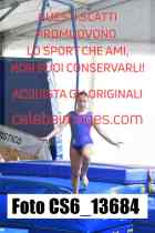 CS6_13684-