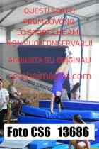 CS6_13686-