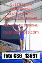 CS6_13691-