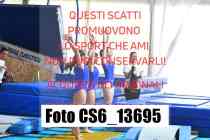 CS6_13695-
