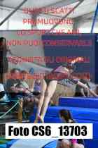 CS6_13703-
