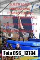 CS6_13734-