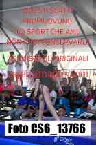 CS6_13766-