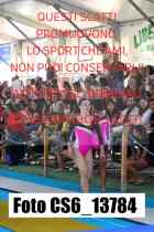 CS6_13784-
