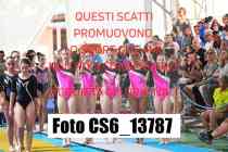 CS6_13787-